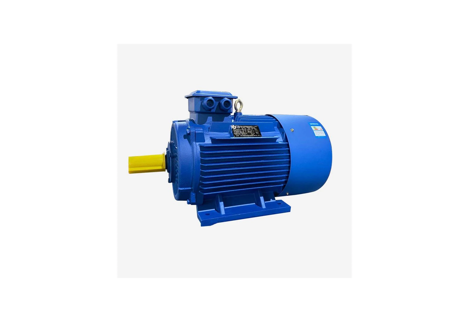Moteur électrique industriel 22 kW
