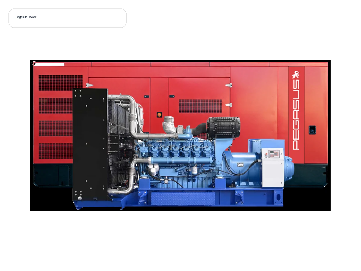 Groupe électrogène Pegasus Série B officielle PEG15B · 15 KVA
