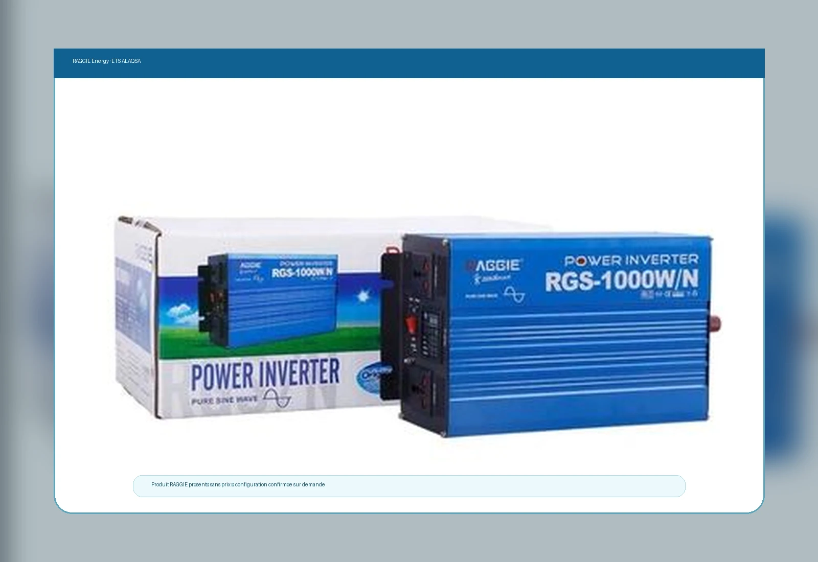 Sélection moderne — RAGGIE Energy 12V Pure Sine Wave Inverter 1000W