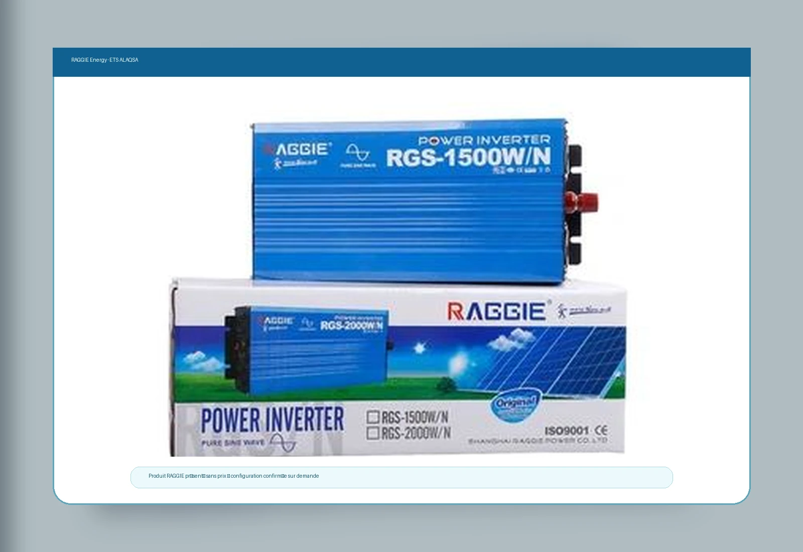 Sélection moderne — RAGGIE Energy Solar Pure Sine Wave Inverter 1500W