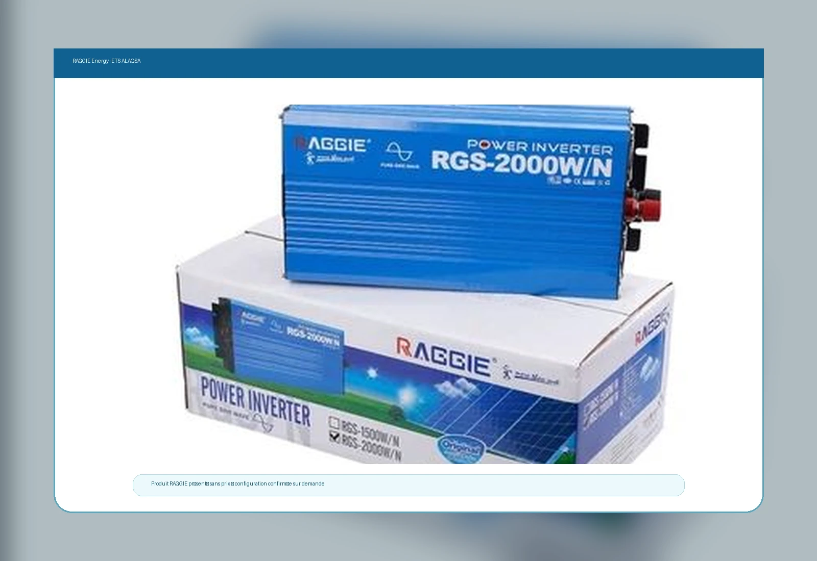 Sélection moderne — RAGGIE Energy 2000W Pure Sine Wave Inverter